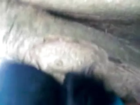 aunty india 1335 ಮಾದಕ ಇಂಗ್ಲೀಷ್ ಚಲನಚಿತ್ರ ಬೆಂಗಾಲಿ