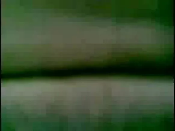 ಭಾರತೀಯ ಟೆಟೋನಾದ ಭವ್ಯವಾದ ಸ್ತನಗಳು