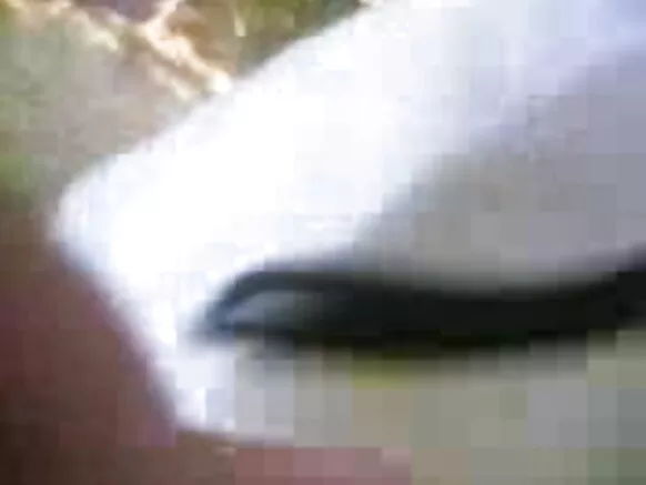 ಮಾದಕ ಮೊಬೈಲ್ ಲೈಂಗಿಕ ನೀಲಿ ಚಿತ್ರ ಪಂಜಾಬಿ ಹೊರಾಂಗಣ